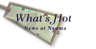 What's hot at Neuma